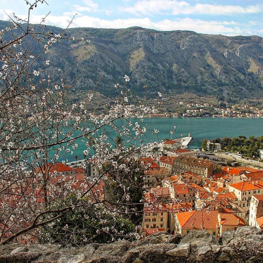 Apartmán Old Town Kotor Square Exteriér fotografie